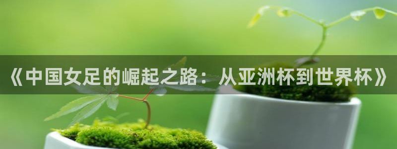 2026世界杯直播：《中国女足的崛起之路：从亚洲杯到世界杯》