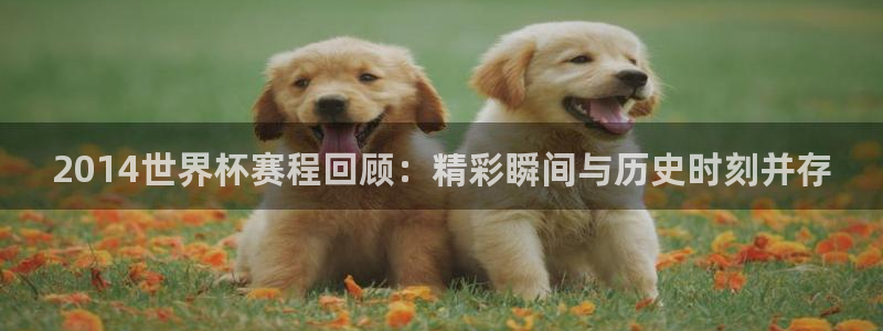 2026世界杯：2014世界杯赛程回顾：精彩瞬间与历史时刻并存