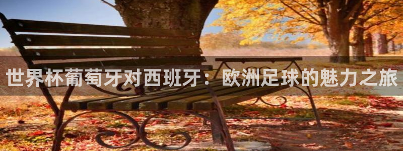 世预赛免费直播入口：世界杯葡萄牙对西班牙：欧洲足球的魅力之旅