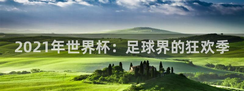 世界杯足球赛2026：2021年世界杯：足球界的狂欢季