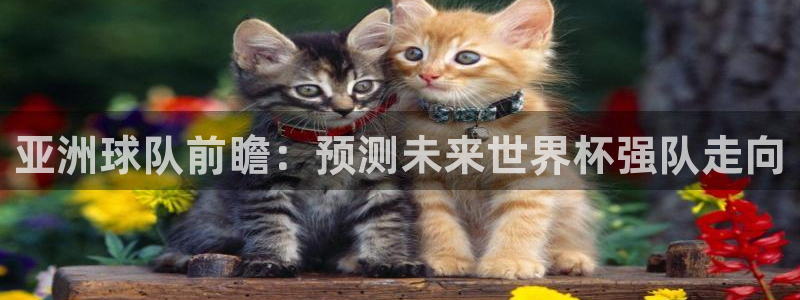 足球世界杯预选赛：亚洲球队前瞻：预测未来世界杯强队走向