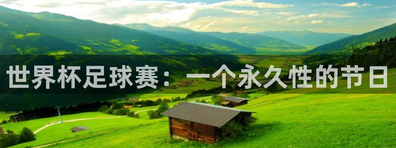 2026世界杯赛制：世界杯足球赛：一个永久性的节日