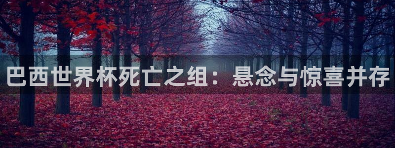 世界杯亚洲区预选赛赛程表：巴西世界杯死亡之组：悬念与惊喜并存