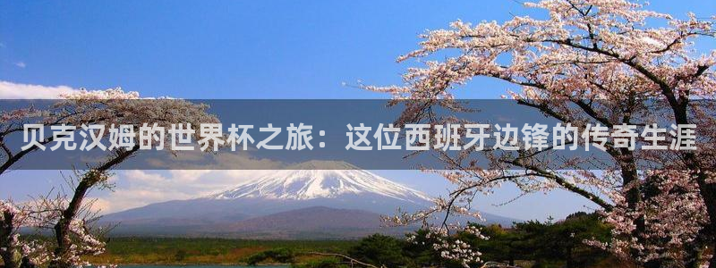 世界杯预选赛排名：贝克汉姆的世界杯之旅：这位西班牙边锋的传奇生涯