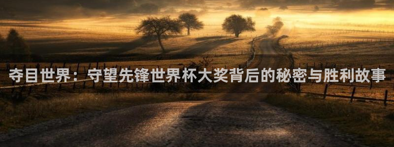 欧洲世界杯预选赛赛程：夺目世界：守望先锋世界杯大奖背后的秘密与胜利故事