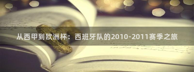 世界杯比赛直播：从西甲到欧洲杯：西班牙队的2010-2011赛季之旅