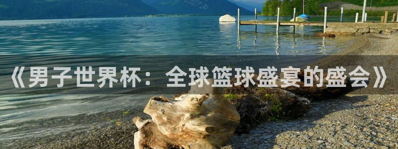 世界杯 直播：《男子世界杯：全球篮球盛宴的盛会》