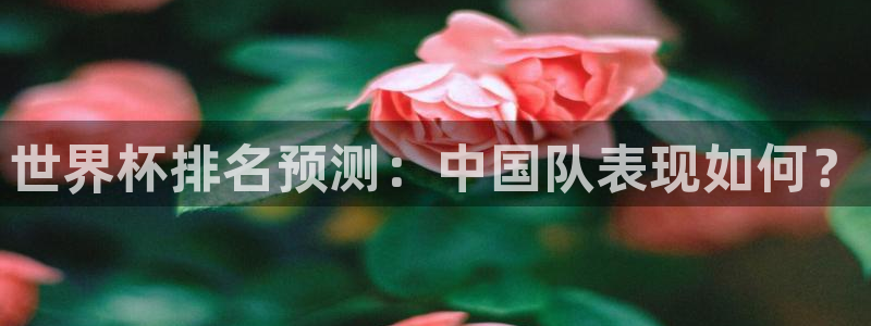 2026世界杯赛程：世界杯排名预测：中国队表现如何？