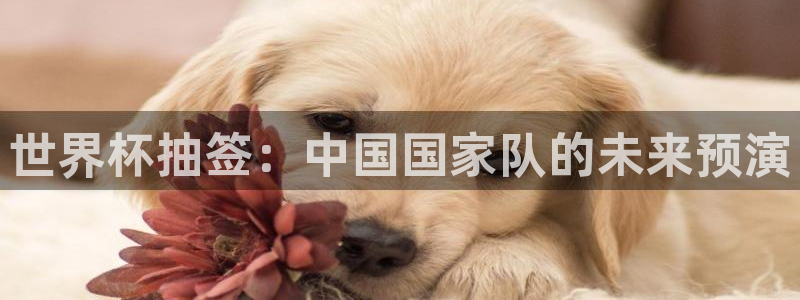世界杯预选赛亚洲区赛程：世界杯抽签：中国国家队的未来预演