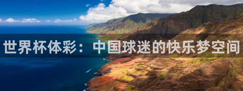 世界杯足球赛2026：世界杯体彩：中国球迷的快乐梦空间