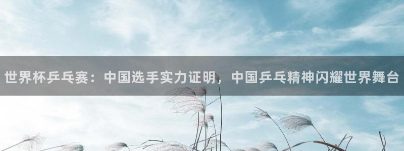 预选赛世界杯：世界杯乒乓赛：中国选手实力证明，中国乒乓精神闪耀世界舞台